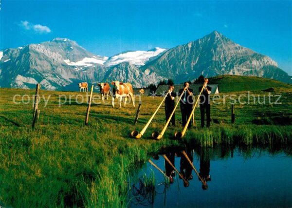Alphorn Alphornbl?ser Gstaad Wispillen-Alp Wild