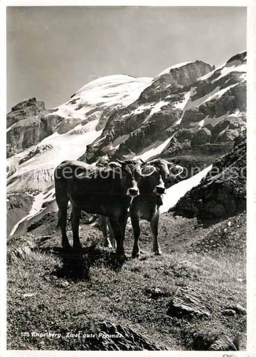 K?he Engelberg