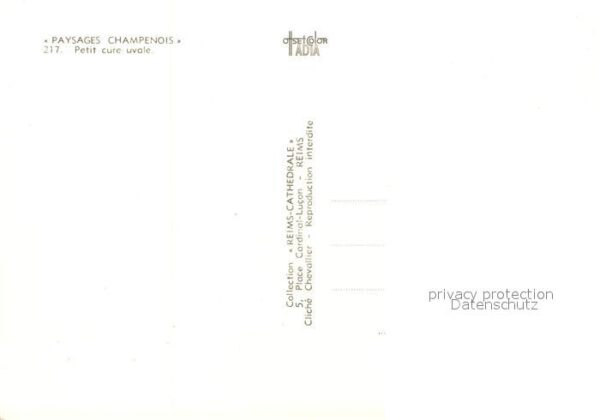 Ernte Landwirtschaft Weinlese Paysages Chamoenois – Bild 2