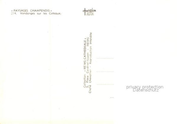 Ernte Landwirtschaft Vendanges sur les Coteaux Weinlese – Bild 2