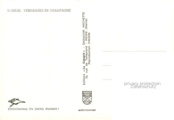 Ernte Landwirtschaft Weinlese Vendanges en Champagne – Bild 2