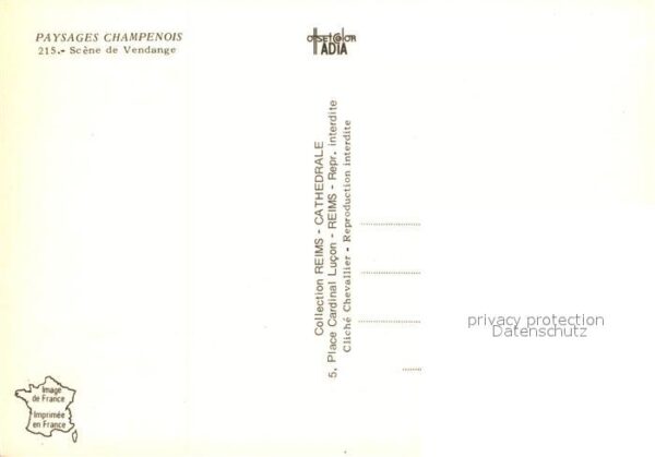Ernte Landwirtschaft Weinlese Paysages Champenois Vendange – Bild 2
