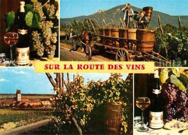 Wein Alsace Route des Vins