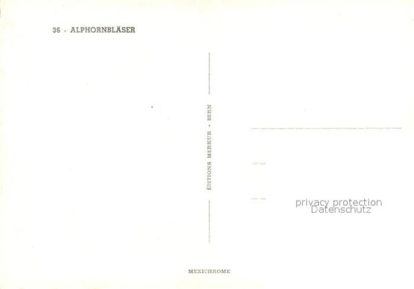 Alphorn Alphornbl?ser – Bild 2