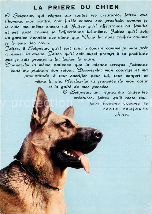 Hunde Priere du Chien