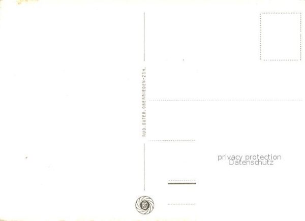 Murmeltier – Bild 2