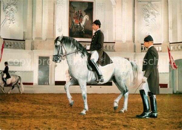 Reitsport Pferdesport Pferderennen Wien Spanische Reitschule Morgenarbeit