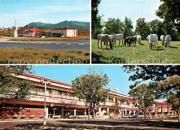 Lipica Hotel Maestoso Motel Kolzina