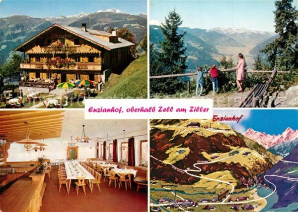 Zell Ziller Tirol Alpengasthof Enzianhof