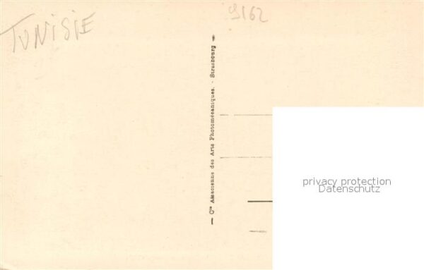 Gabes Chameaux parteurs Alfa – Bild 2
