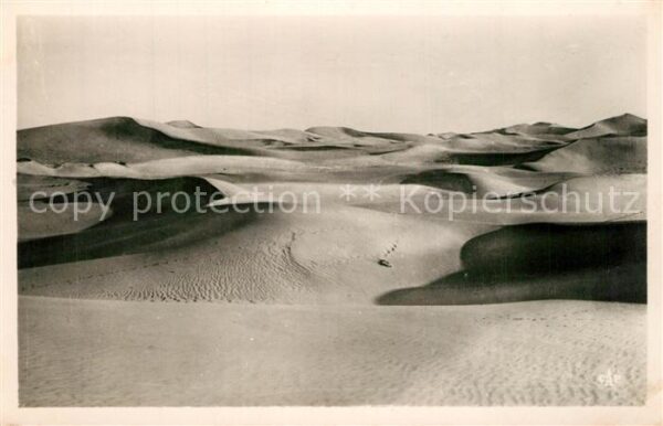 Biskra La Mer de Sable