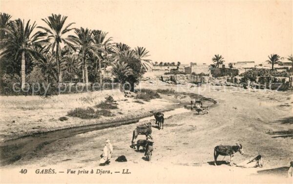 Gabes Vue prise a Djara