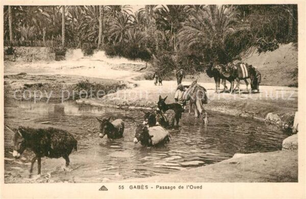 Gabes Passage de l Oued