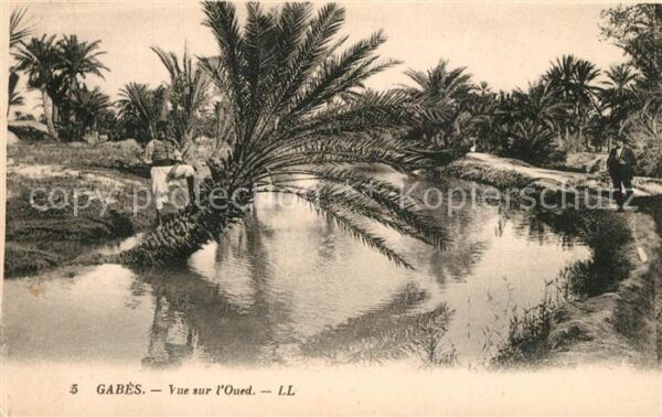 Gabes Vue sur l Oued