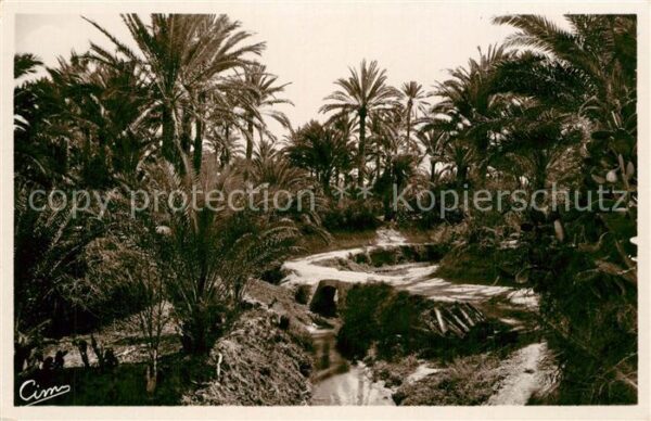 Gabes Oasis de Menzel