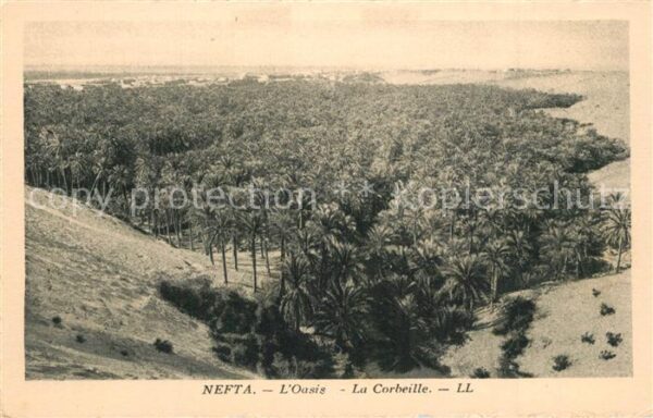Nefta Oasis La Corbeille