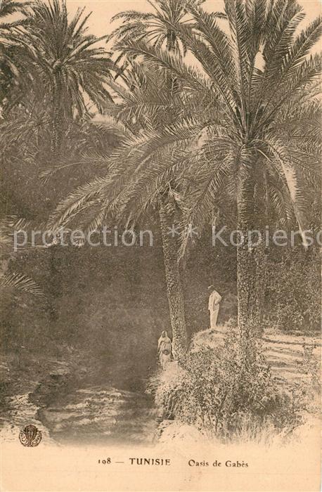 Tunis Oasis de Gabes