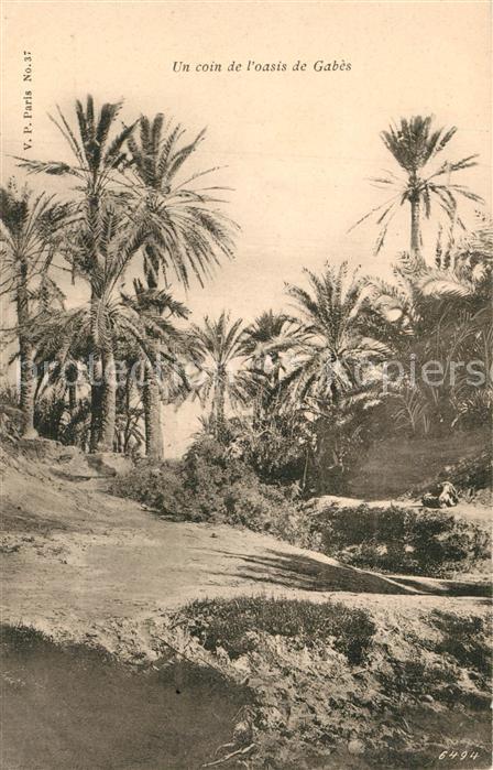 Gabes Oasis