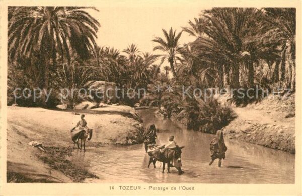 Tozeur Passage de l Oued