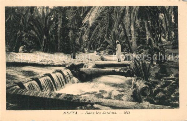 Nefta Dans les Jardins