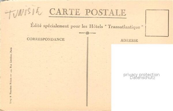 Nefta Dans les Jardins – Bild 2