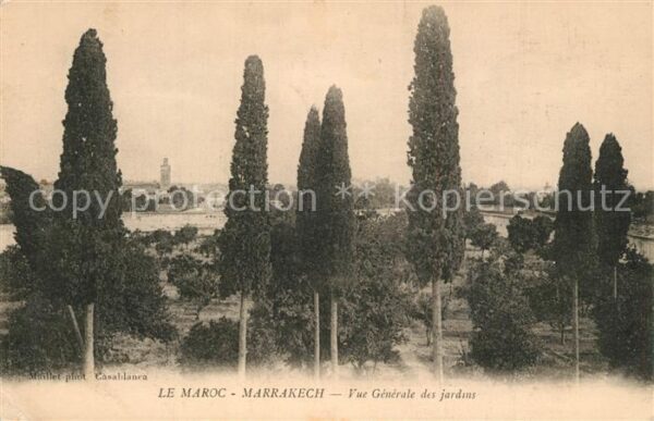 Marrakech Marrakesch Vue Generale des jardins