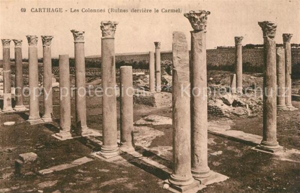 Carthage Karthago Les Colonnes Ruines derrière le Carmel
