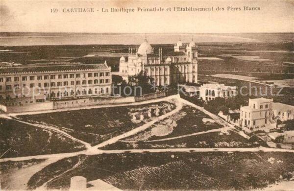 Carthage Karthago Basilique Primatiale Etablissement des