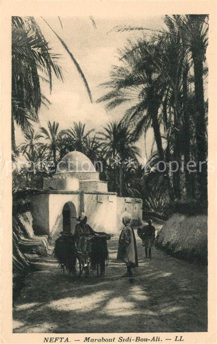 Nefta Marabout Sidi Bou Ali