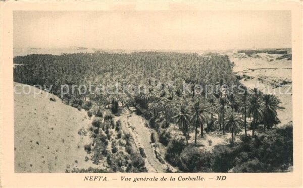 Nefta Vue Generale de la Corbeille