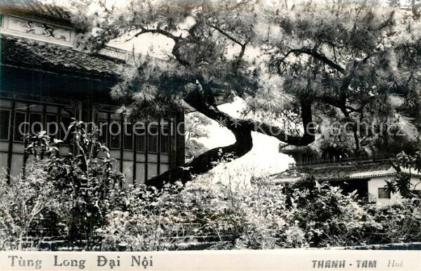 Thanh-Tam Hue Tun Long Dai Noi