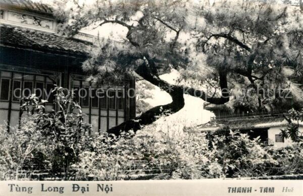 Thanh-Tam Hue Tung Long Dai Noi