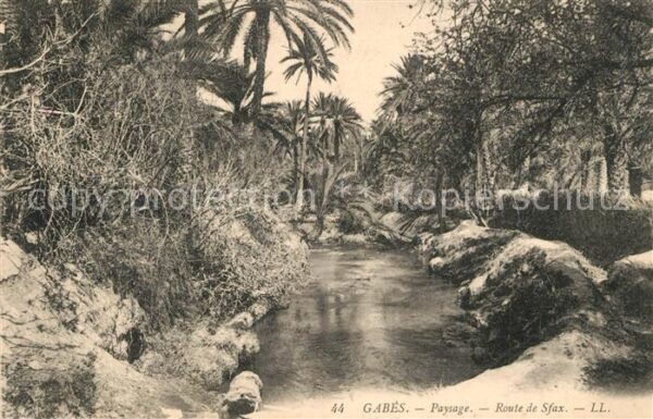 Gabes Paysage Route de Sfax