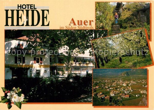 Auer Ora Suedtirol Hotel Heide Treppe Wald Panorama