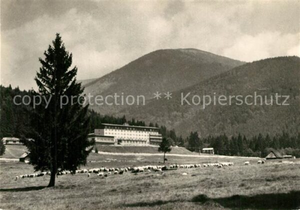 Tale Brezno Hotel Partizan Nizke Tatry Berghotel Ni