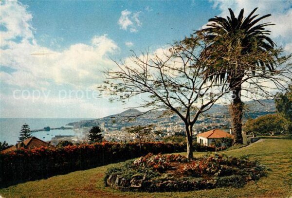 Funchal Panorama view from a Quinta