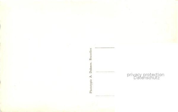 Lier Shaecberd – Bild 2