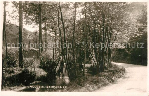 Ermeton-sur-Biert Vallee de la Molignee