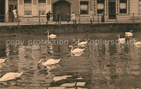 Bruges BRUGGE Belgie Quai Long et Cygnes