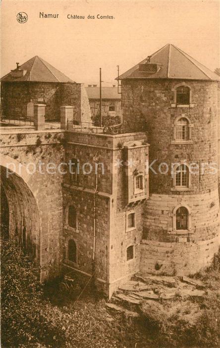Namur sur Meuse Chateau des Comtes