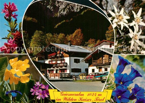 Kirchdorf Tirol Unterkunftshaus Griesneralm Naturschutz
