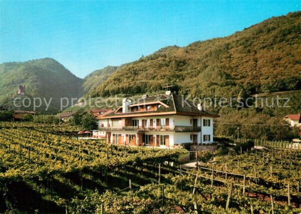 Lana Meran Pension Rebgut Weinberge
