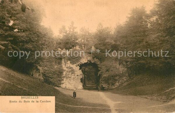 Bruxelles Br?ssel Ravin du Bois de la Cambre