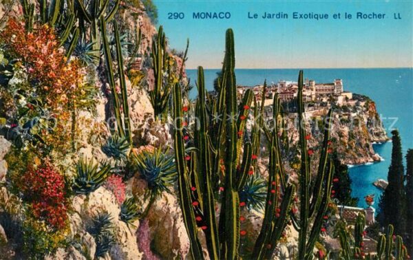 Monaco Le Jardin Exotique et le Rocher