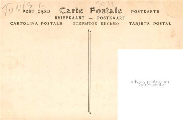 Carthage Karthago Tombeaux Puniques – Bild 2