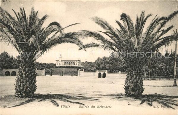 Tunis Entrée du Belvedere
