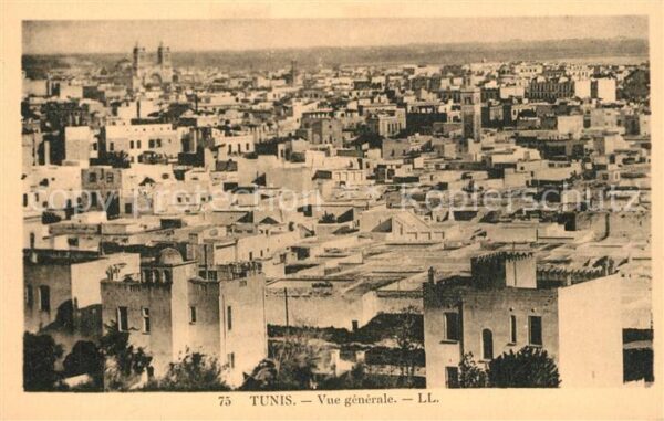 Tunis Vue Generale