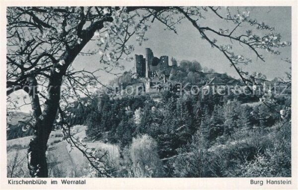 Bad Sooden-Allendorf Burg Hanstein Kirschenblüte im Werratal