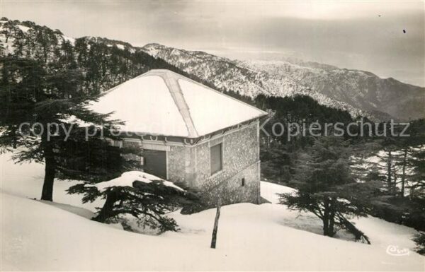 Chrea Station estivale Chalet dans la Montagn