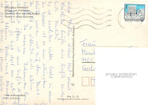 Plattensee Kukori ca Csyrda Details – Bild 2
